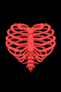 Heart Ribcage Poster