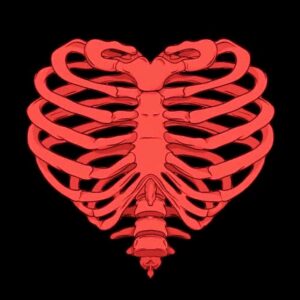 Heart Ribcage Poster