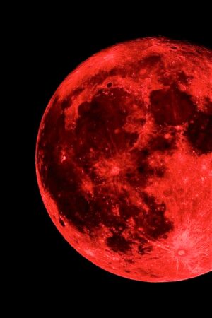 Red Moon Poster